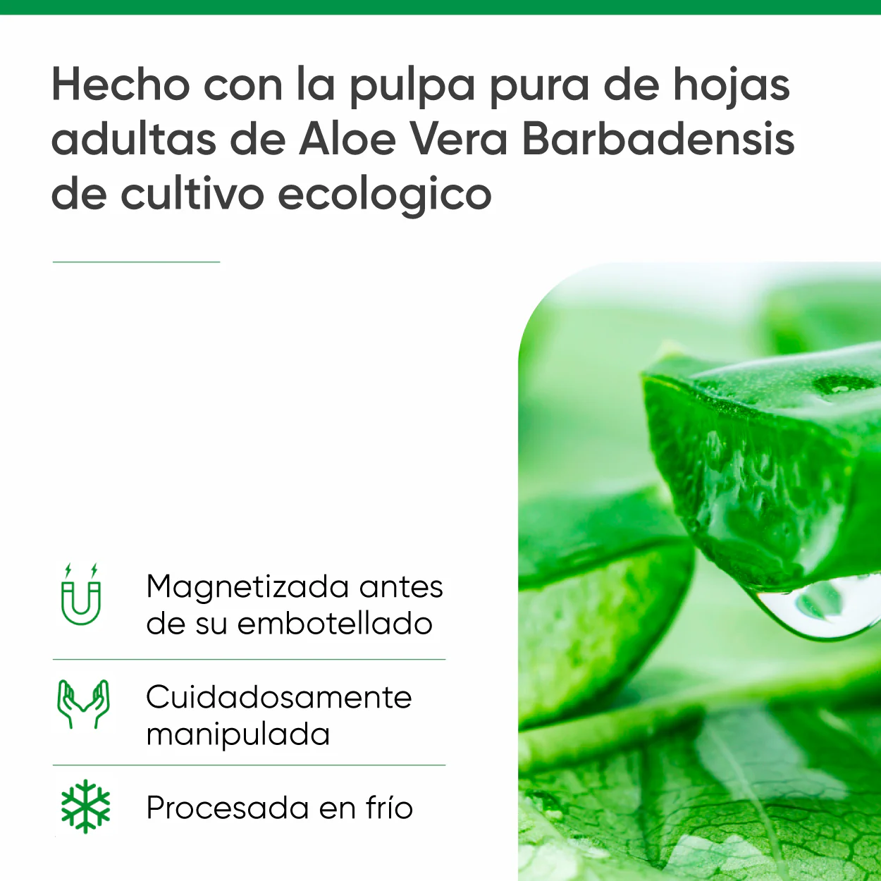 Aloe vera puro Bio/Ecológico 1L - Image 3