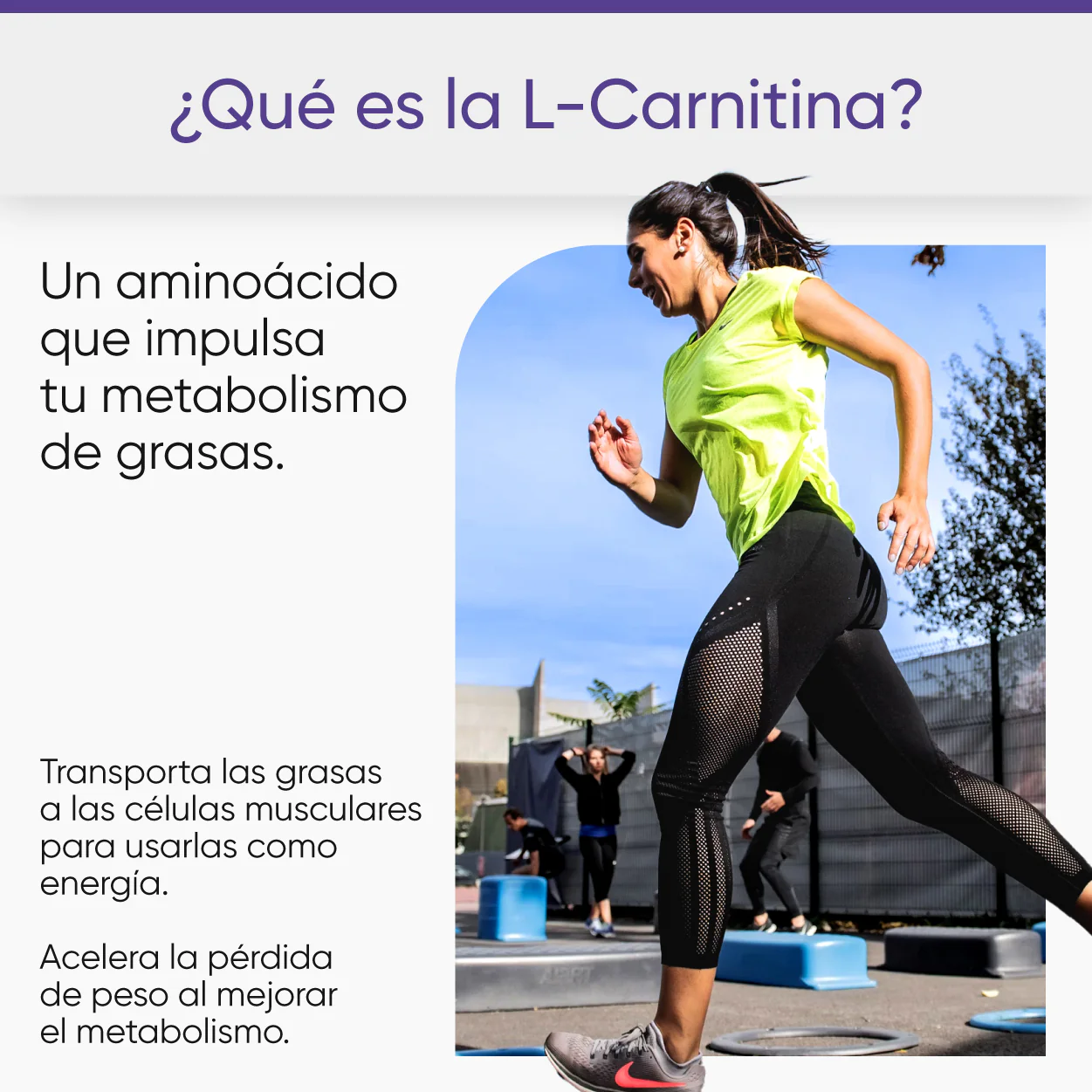 L-carnitina - Image 3
