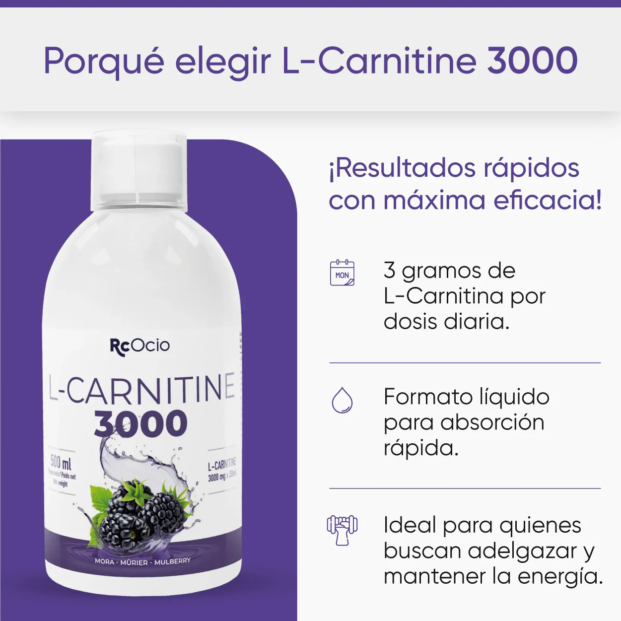 L-carnitina - Image 4
