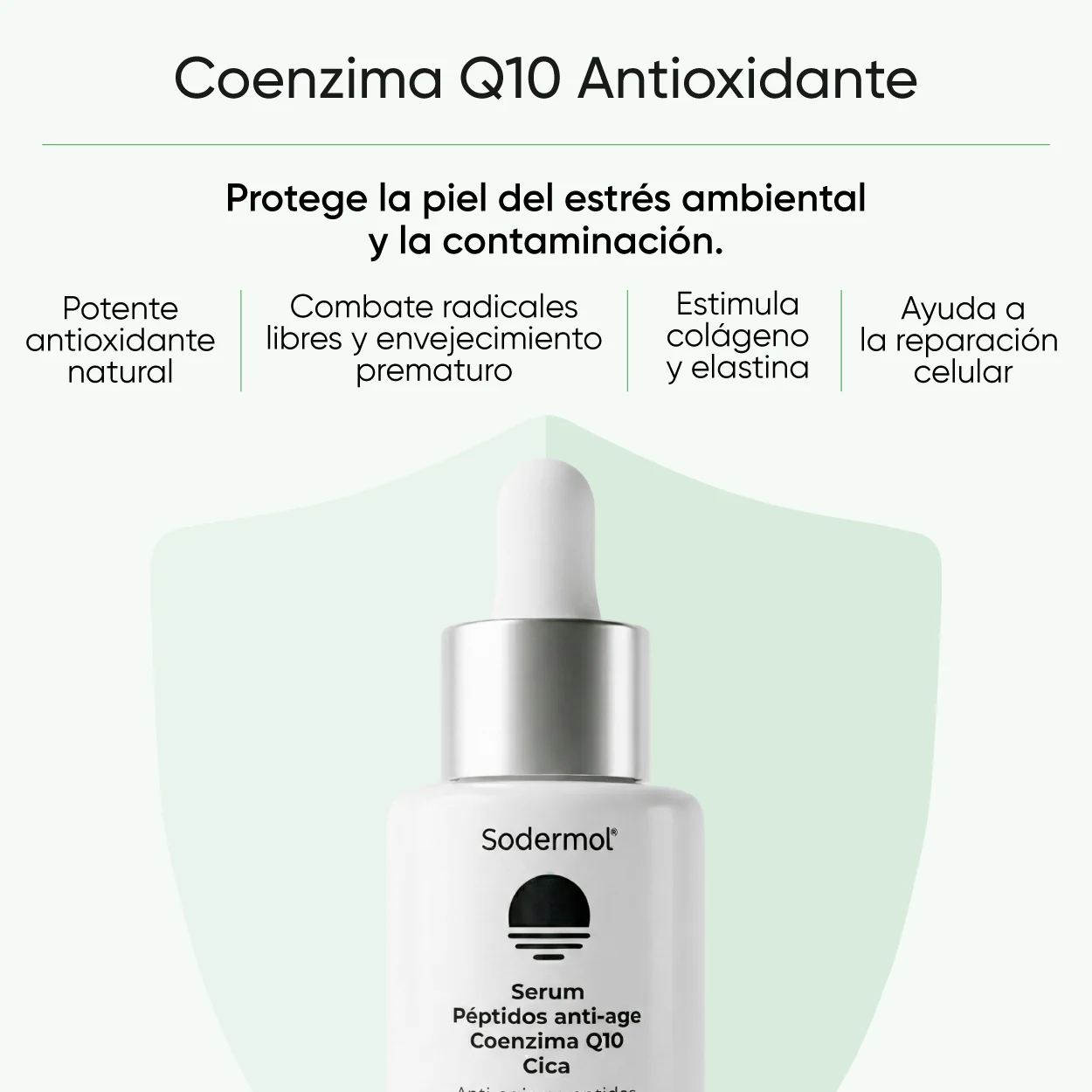 Sérum Antiarrugas Intensivo Péptidos + Coenzima Q10 + CICA - Image 6