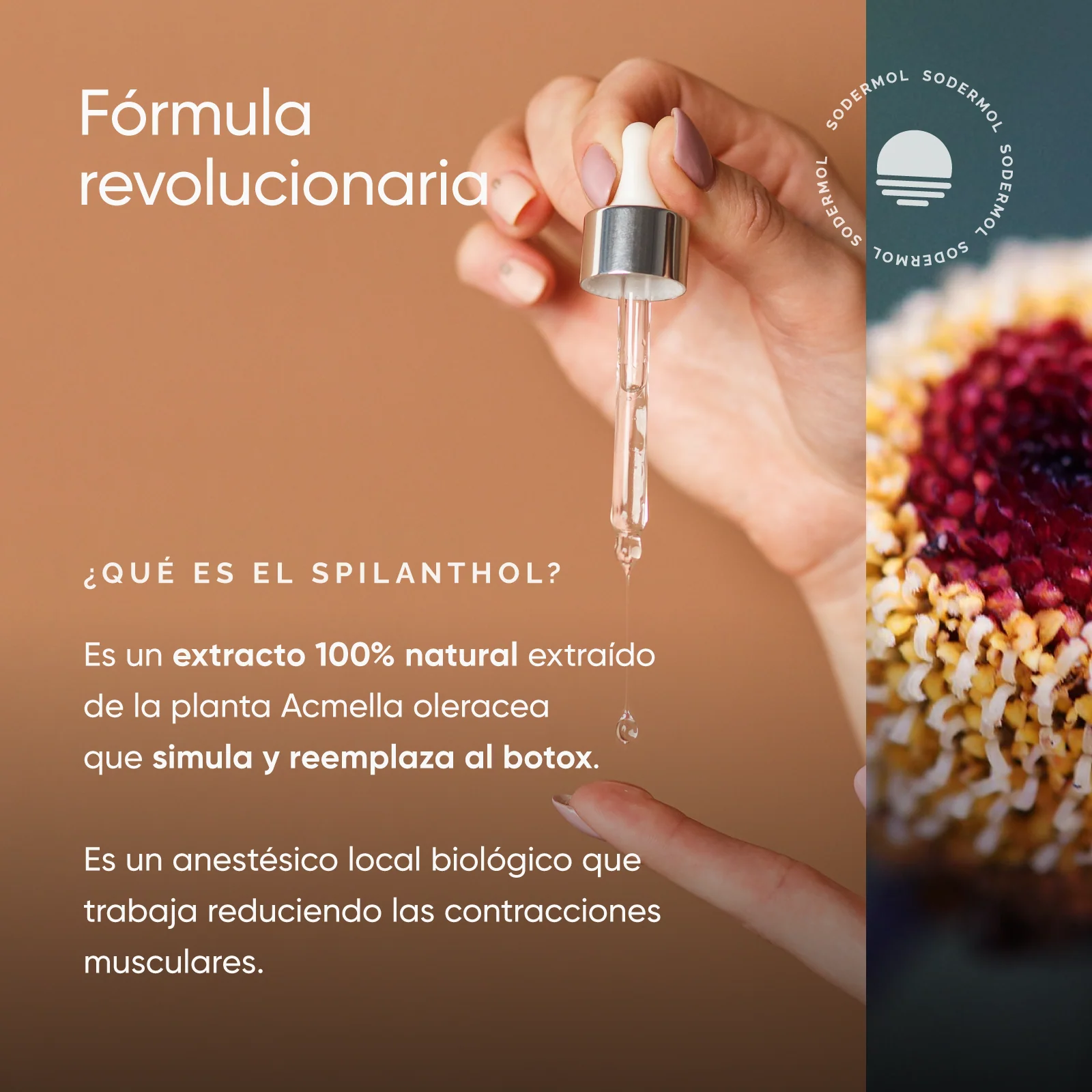 SERUM EFECTO BOTOX FIX EXPRESSION - Image 5
