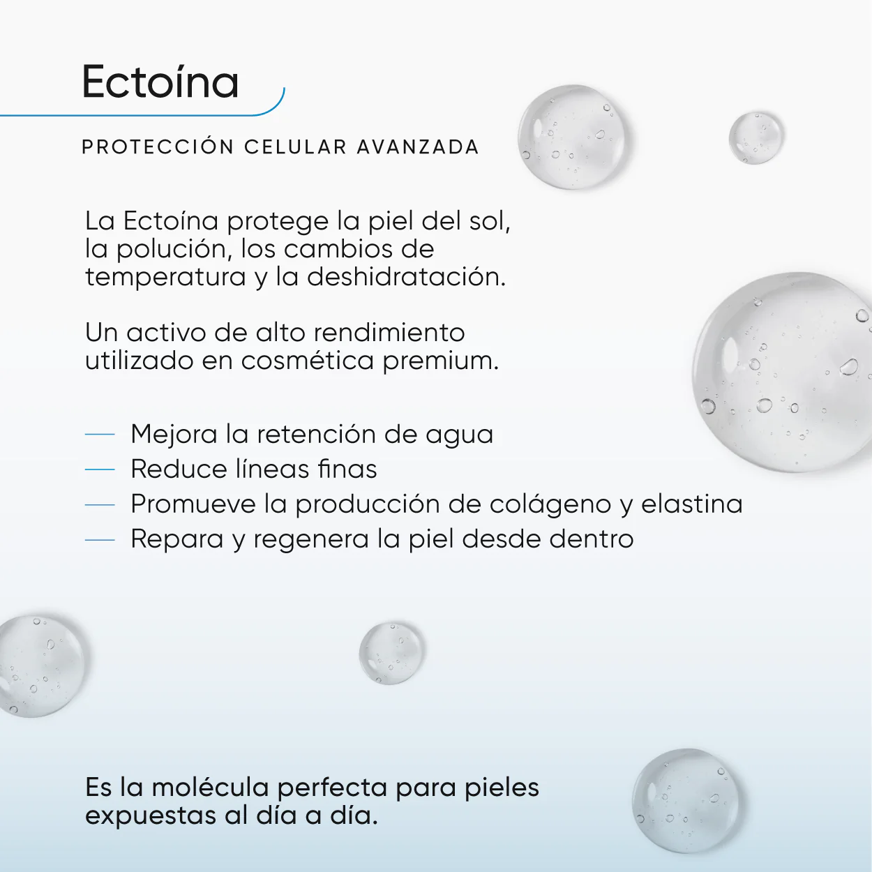 Sérum Tetra 4-Hialurónico + Ectoína + Cica - Image 5